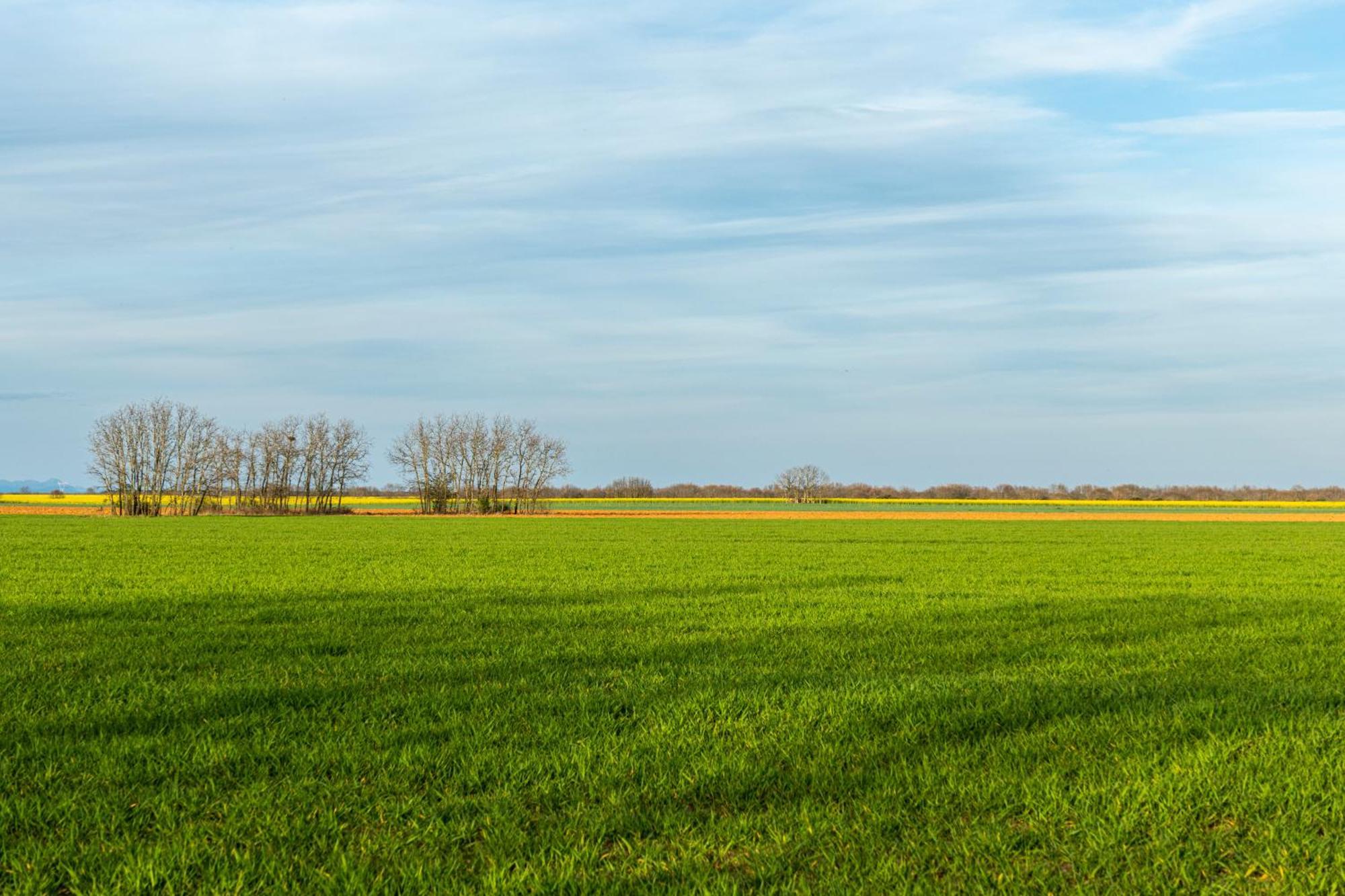 Descubre La Cepedana: Casa Rural Con Encanto En Cogorderos, A Solo 10 Km De Astorga ภายนอก รูปภาพ